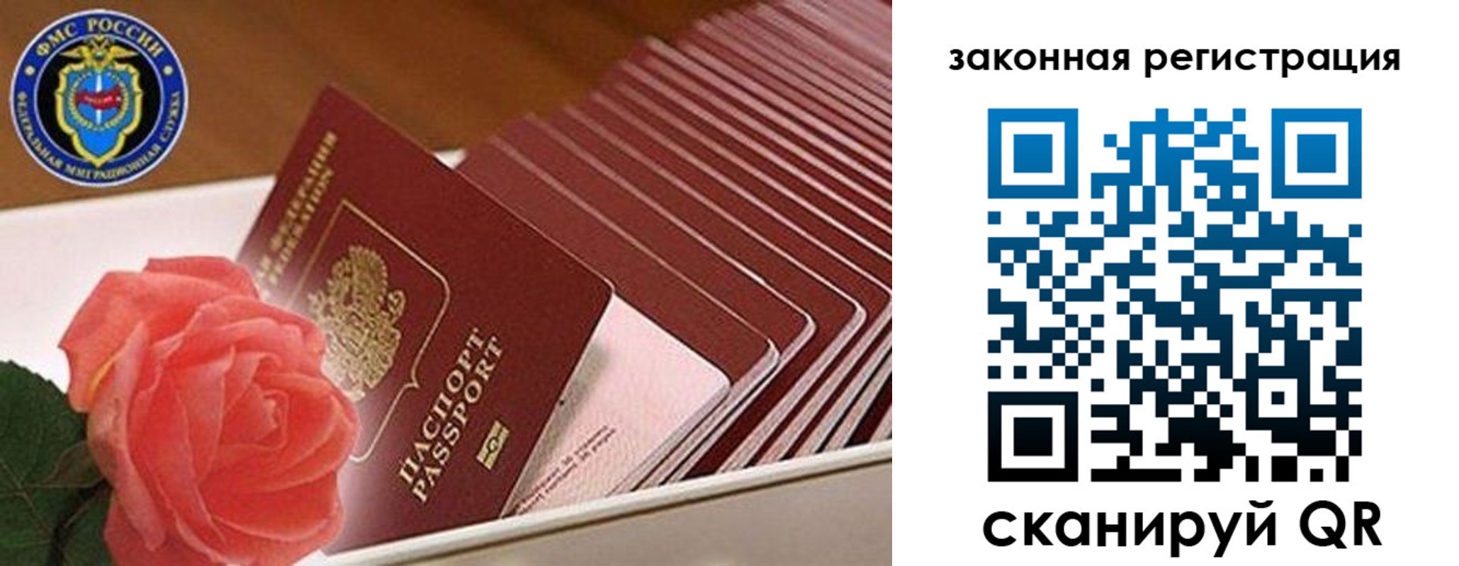 пропишу в квартире в Брянске